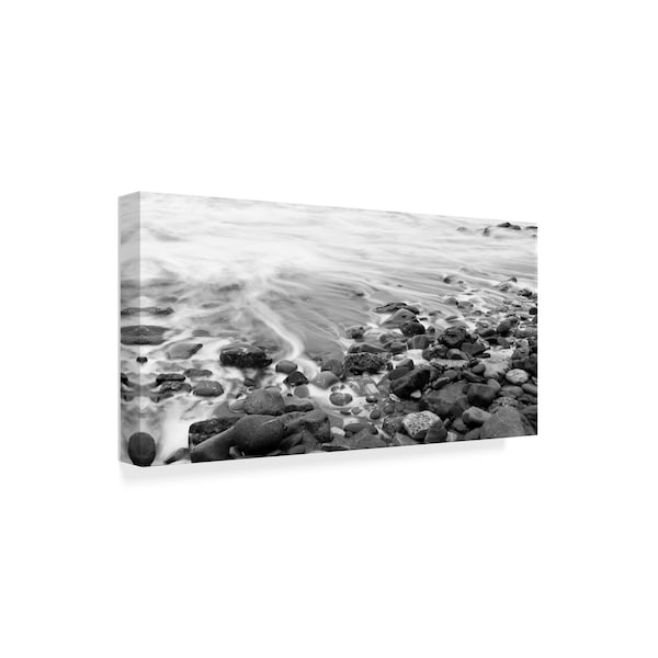 Chris Moyer 'Changing Tide' Canvas Art,16x32